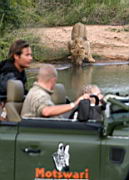 lions gomo gomo IMG_5080.jpg